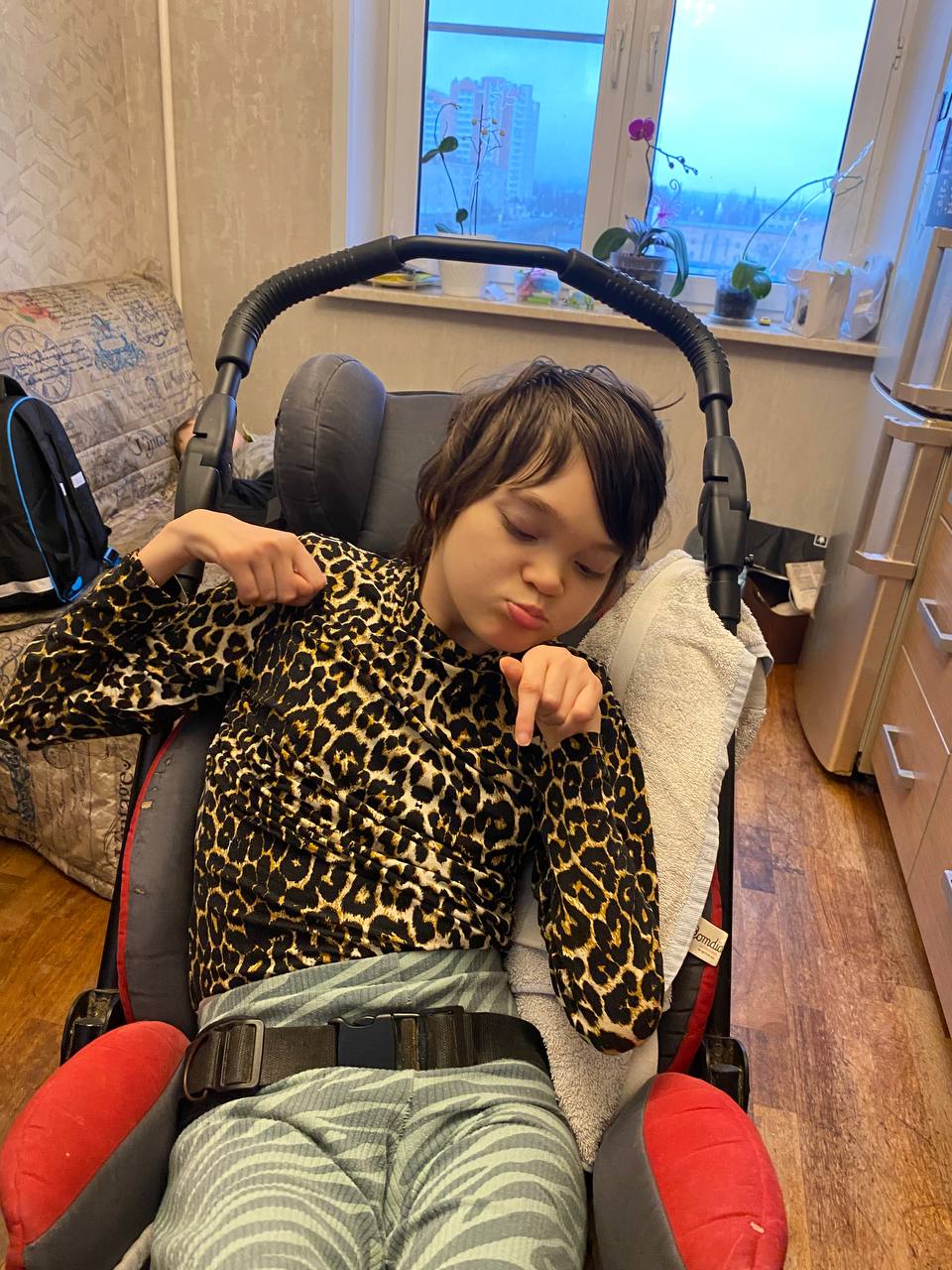 Анастасии очень нужна новая коляска